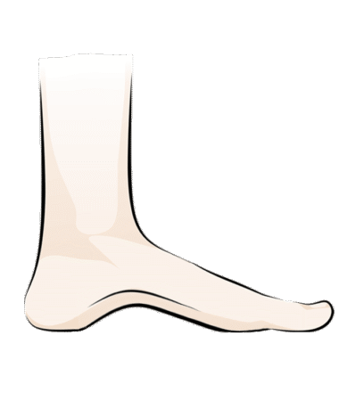 Simple illustration of a human foot and lower leg shown from the side, displaying the arch and toes on a plain white background.